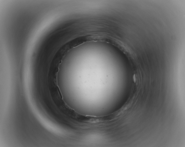 X0000111660764200907241151
