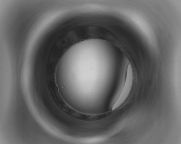 X0000111660765200907241151