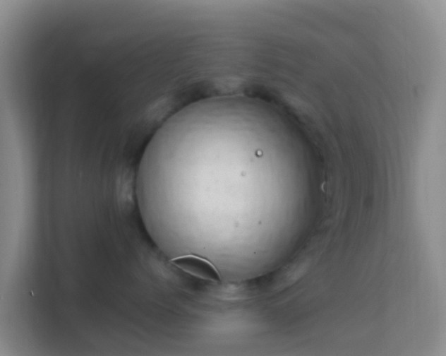 X0000111660768200907241151