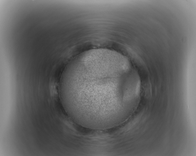 X0000111660770200907241151