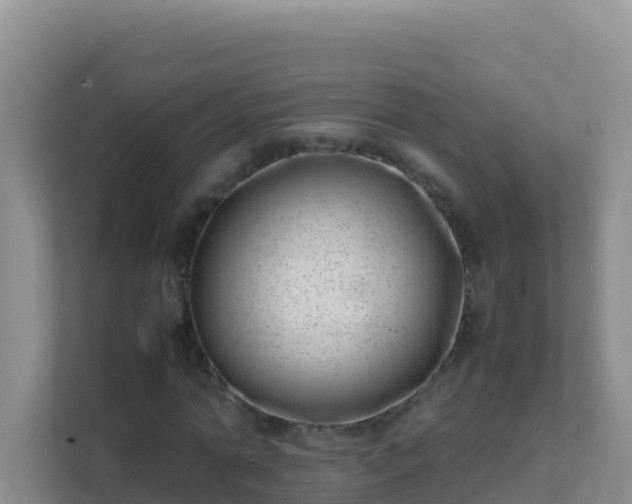 X0000111660774200907241151