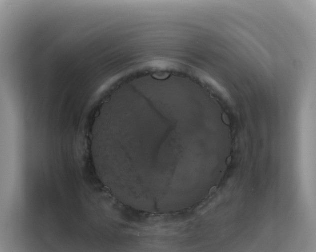 X0000111660776200907241151