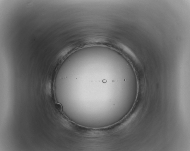 X0000111660777200907241151