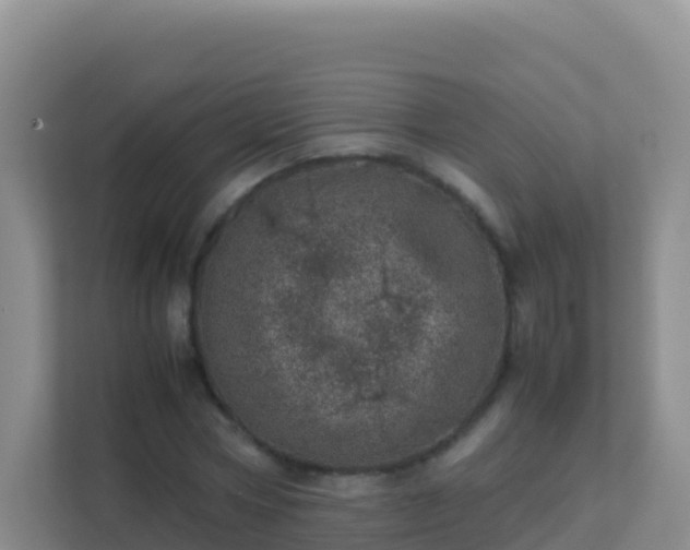 X0000111660778200907241151