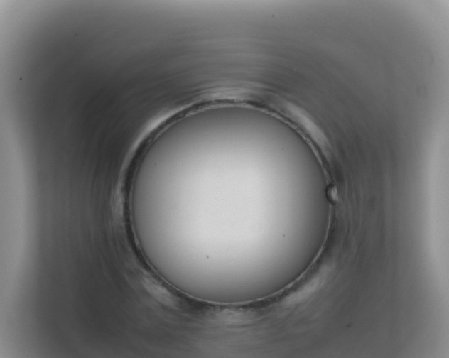 X0000111660779200907241151