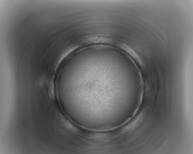 X0000111660782200907241151