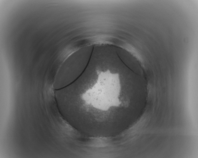 X0000111660785200907241150