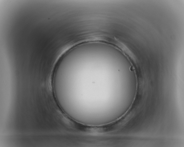 X0000111660789200907241150