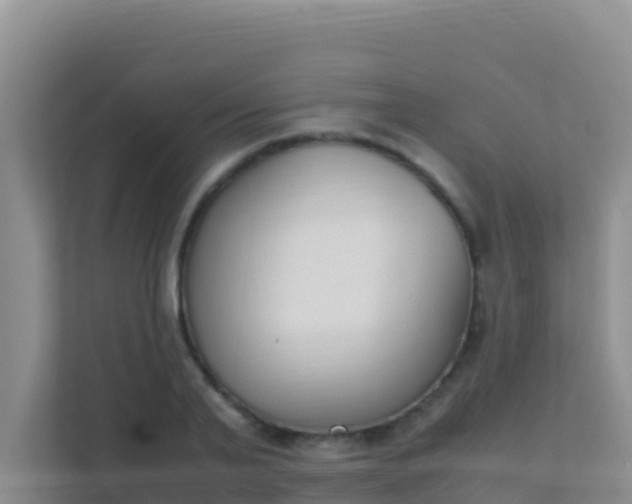 X0000111660791200907241150