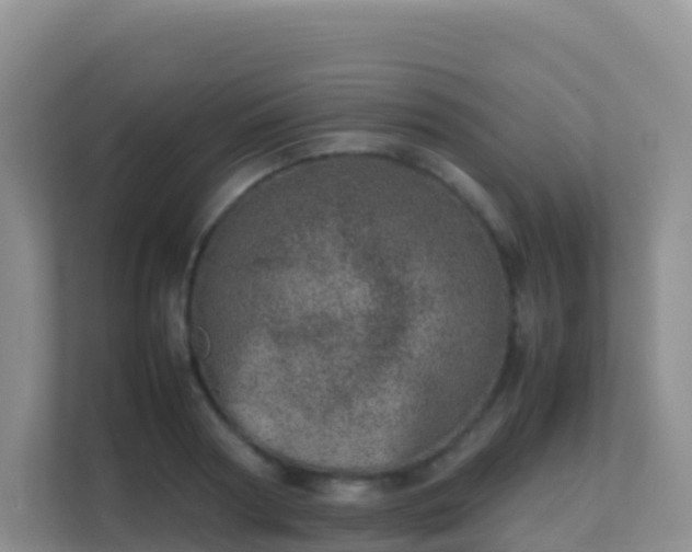 X0000111660794200907241150