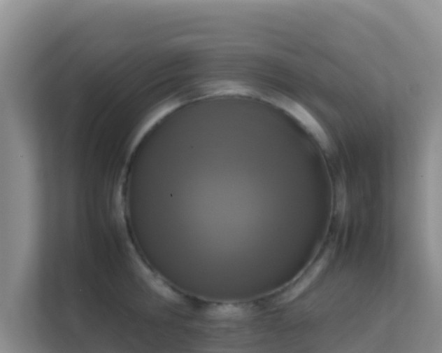 X0000111660806200907241150