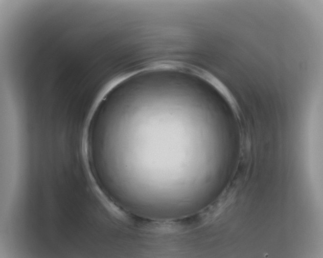 X0000111660811200907241150
