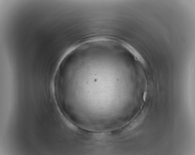 X0000111660813200907241150