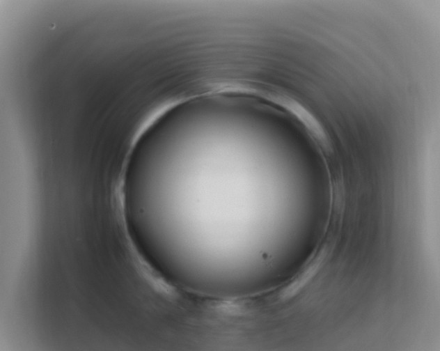X0000111660814200907241150