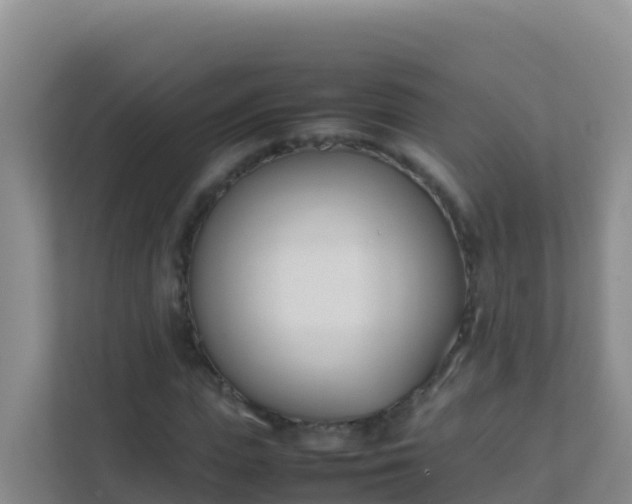 X0000111660823200907241150