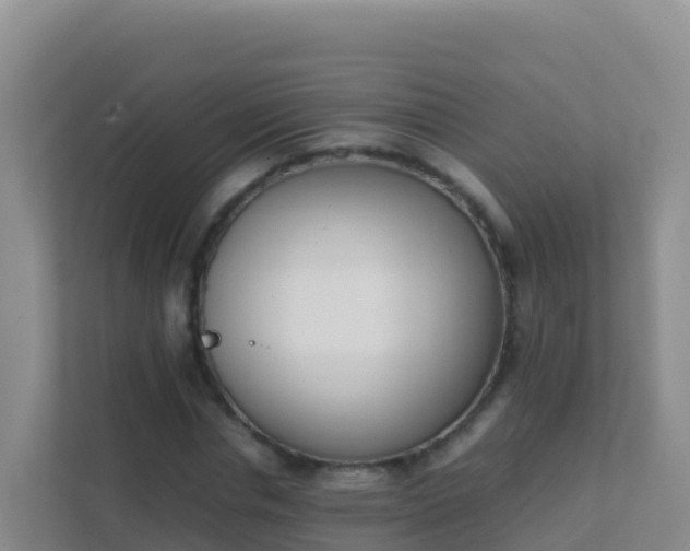 X0000111660826200907241150