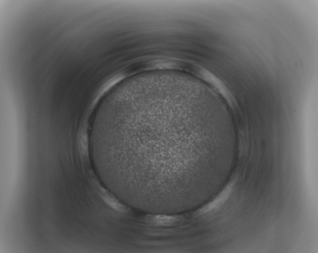 X0000111660827200907241150
