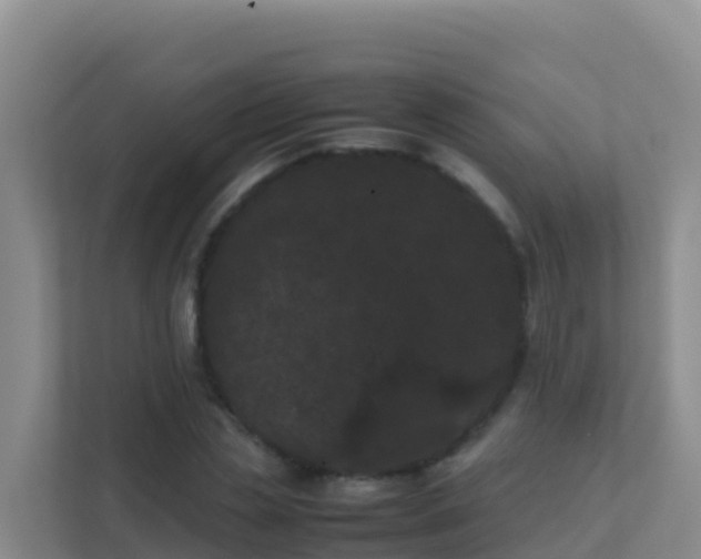 X0000111660829200907241150