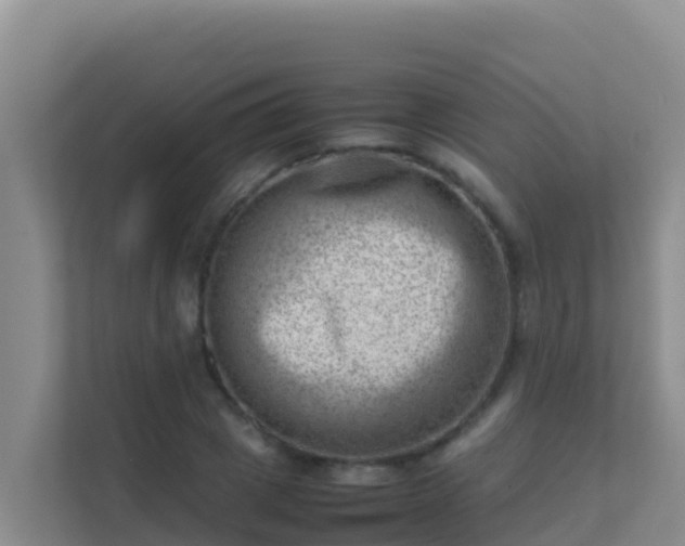X0000111660833200907241150