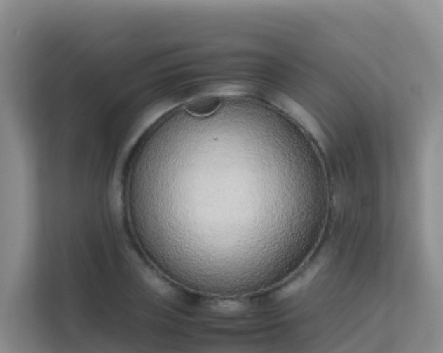X0000111660835200907241150