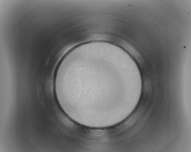 X0000111660836200907241150