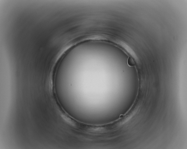 X0000111660837200907241150