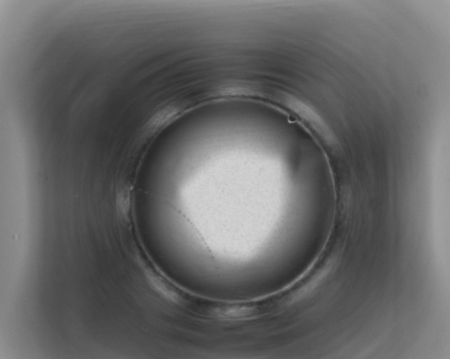 X0000111660841200907241150