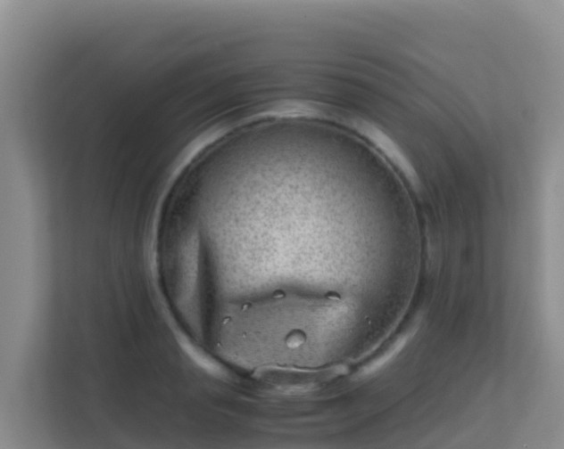 X0000111660845200907241150