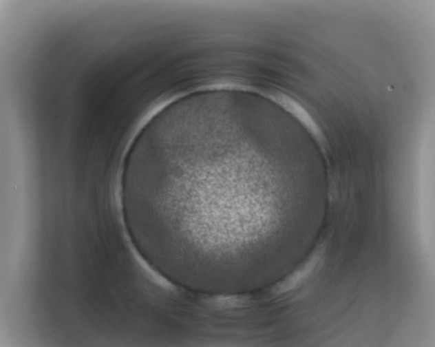 X0000111660847200907241150