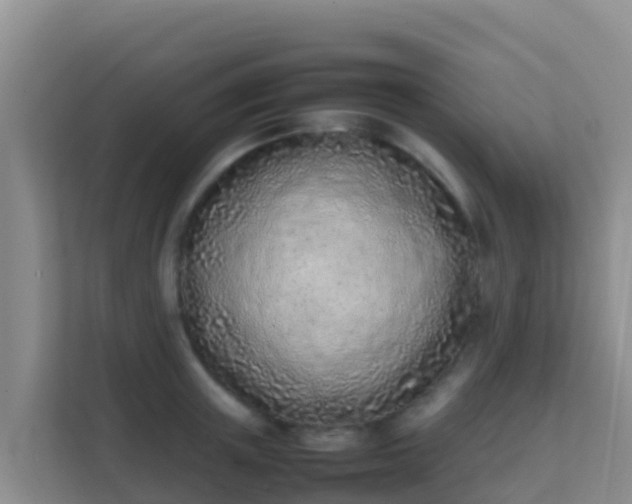 X0000111660851200907241150