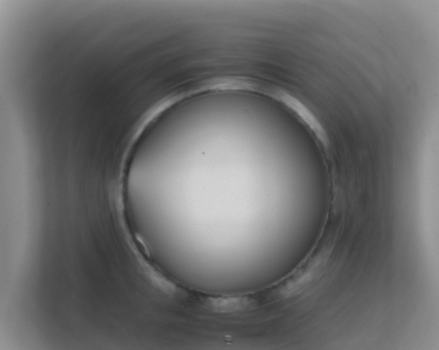X0000111660853200907241150
