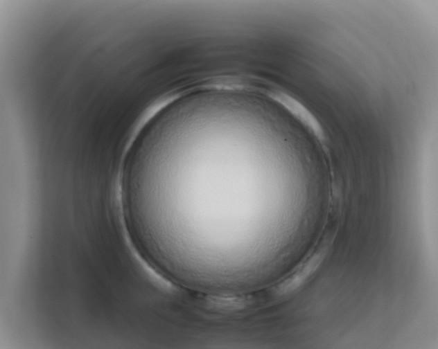 X0000111660855200907241150