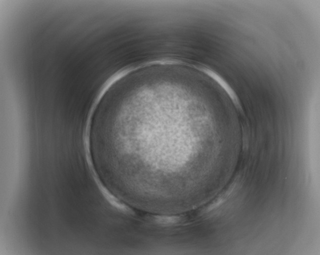 X0000111660861200907241150