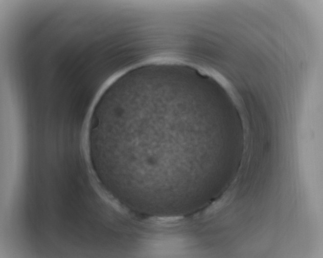 X0000111660864200907241150