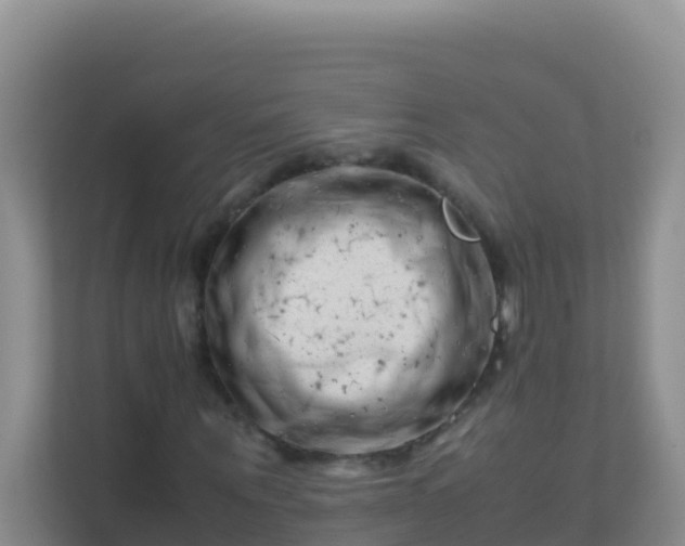 X0000111660867200907241149