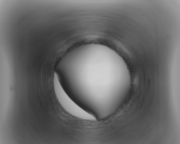 X0000111660868200907241149