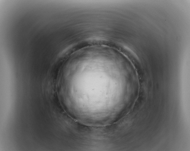 X0000111660870200907241149