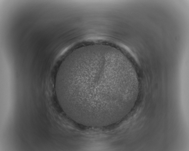 X0000111660871200907241149