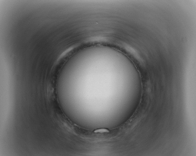 X0000111660872200907241149