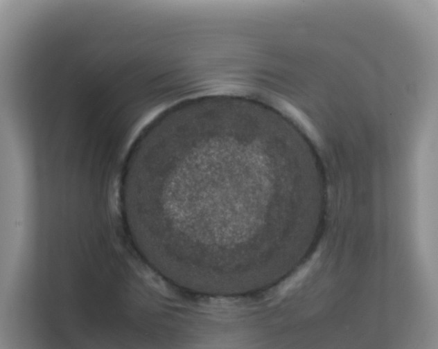 X0000111660875200907241149