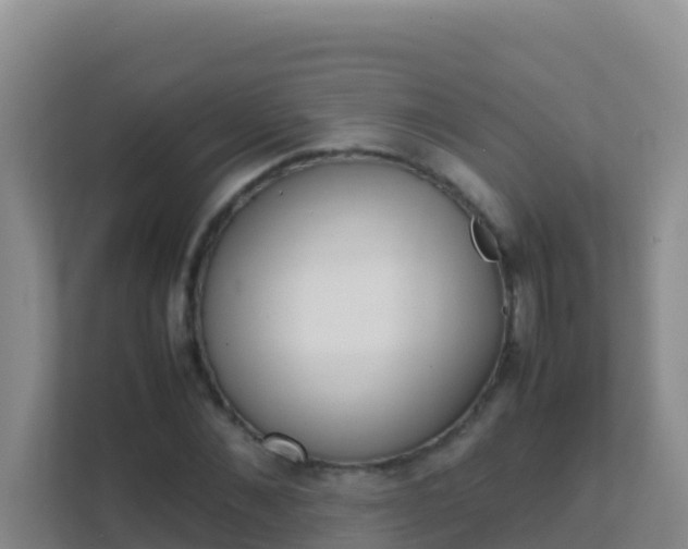 X0000111660876200907241149