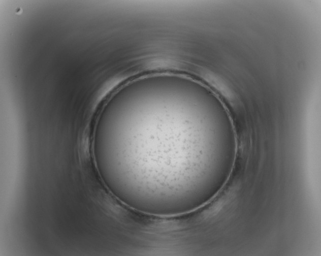 X0000111660877200907241149