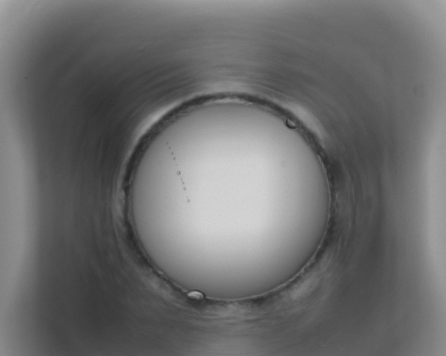 X0000111660879200907241149