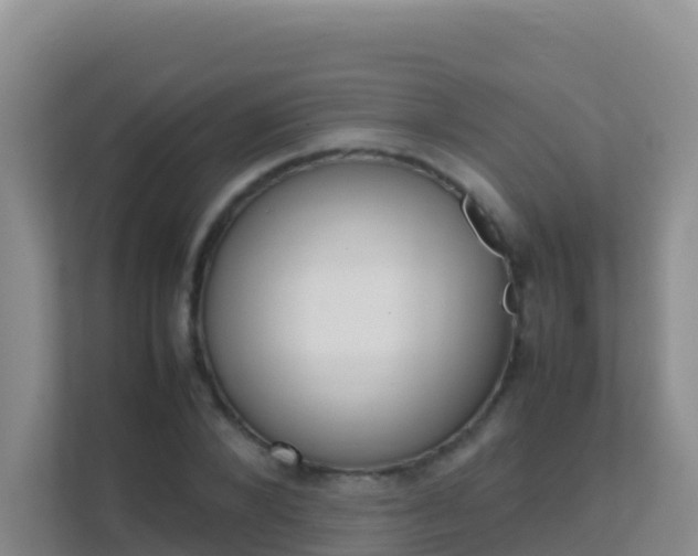 X0000111660880200907241149