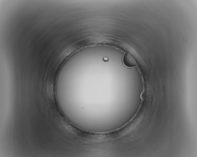 X0000111660881200907241149