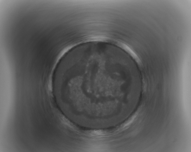 X0000111660883200907241149