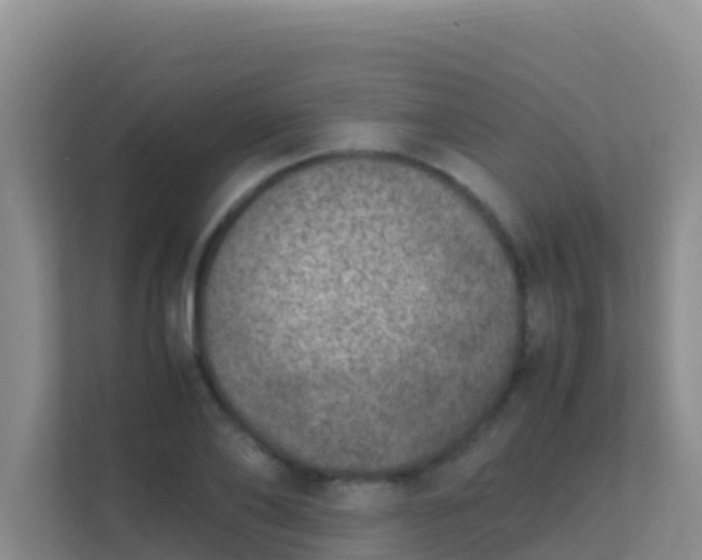 X0000111660886200907241149