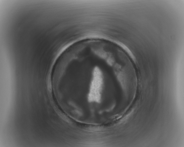 X0000111660887200907241149