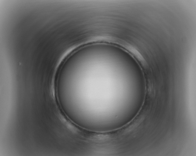 X0000111660888200907241149