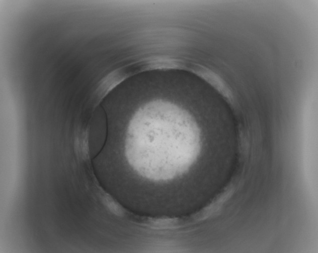 X0000111660889200907241149